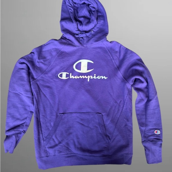 Champion Powerblend Vibrant Purple Hoodie with Iridescent Metallic Logo - Picture 1 of 2